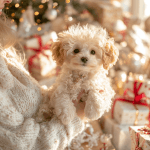 🐶 My Realistic Robot Puppy🐕🦺