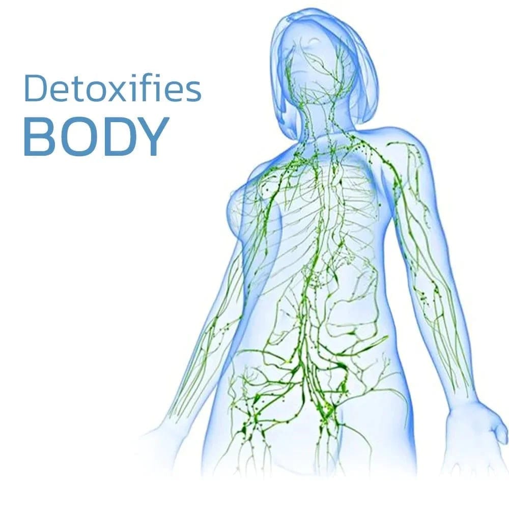 49% Off Only TodayTourmaline acupressure self-heating knee sleeve