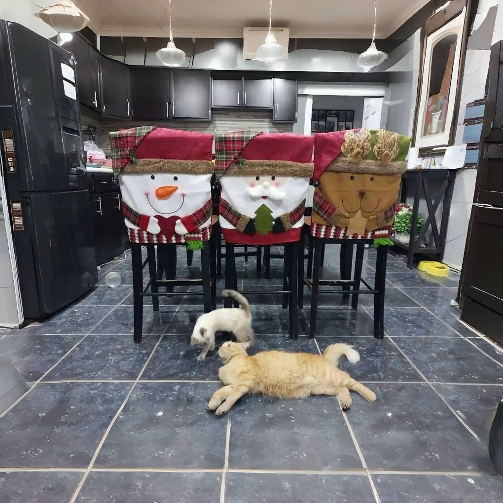 Hot SaleChristmas Themed Chair Cover