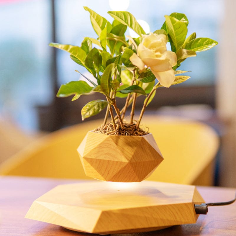 The latest black technology:Magnetic levitation planter (without plants)