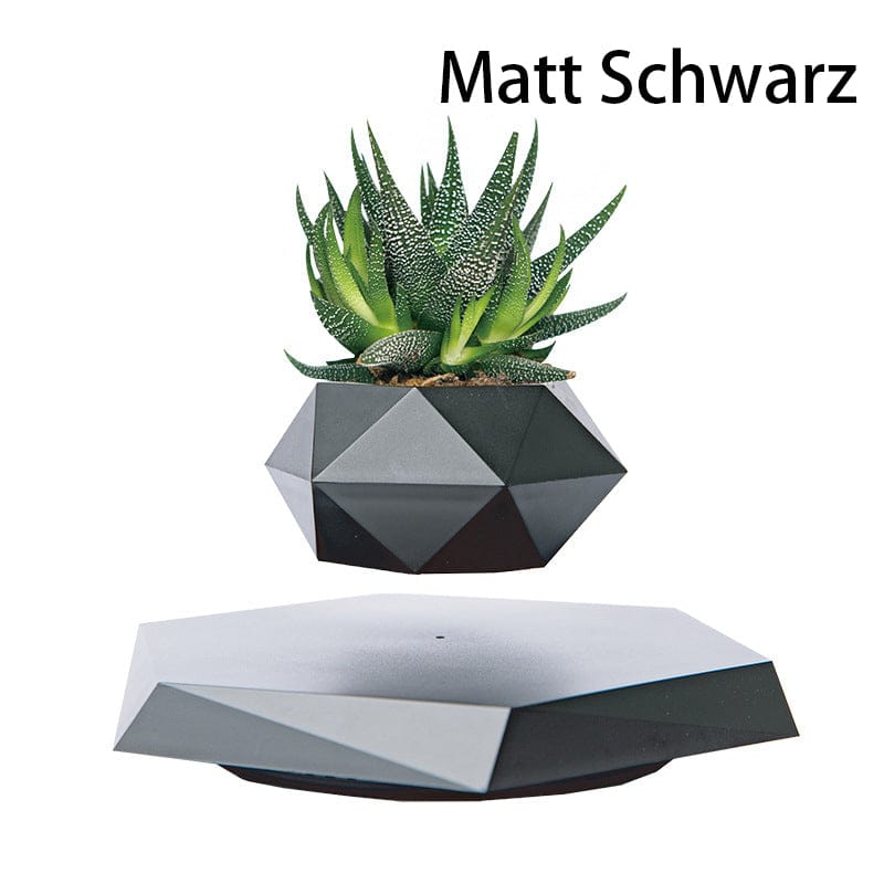 The latest black technology:Magnetic levitation planter (without plants)